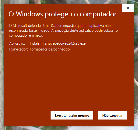 Windows — botão Executar assim mesmo